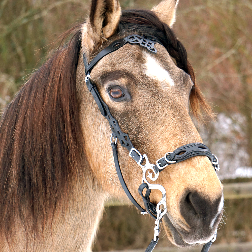 Complete hackamore bridles