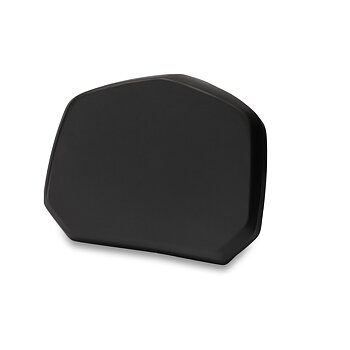 Ryggstöd 50L topbox