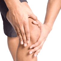 Leder & Ligament