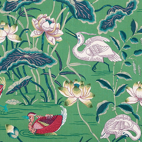 Lotus Garden