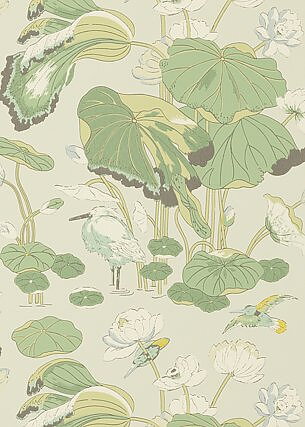 Nympheus, Botanical