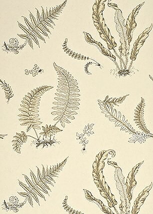 Stensöta "Ferns" i beige