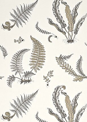 Stensöta "Ferns" i grå/silver