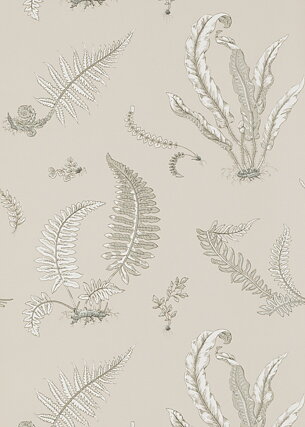 Stensöta "Ferns" i färg "Linen".
