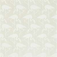 Flamingos, sand/vit