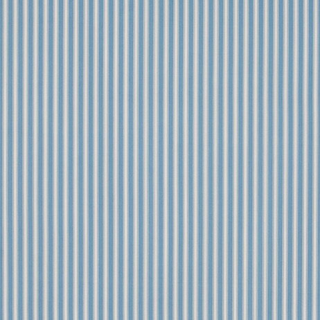New Tiger Stripe