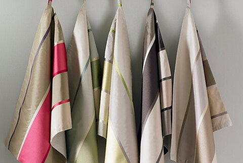 Fiore Stripe Dionf301 