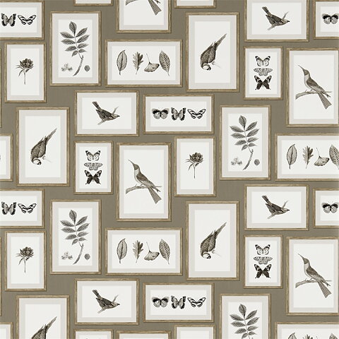 Taveltapet "Picture gallery", taupe