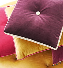 Velvet Sanderson
