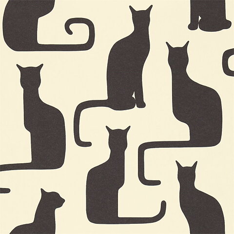 Katt