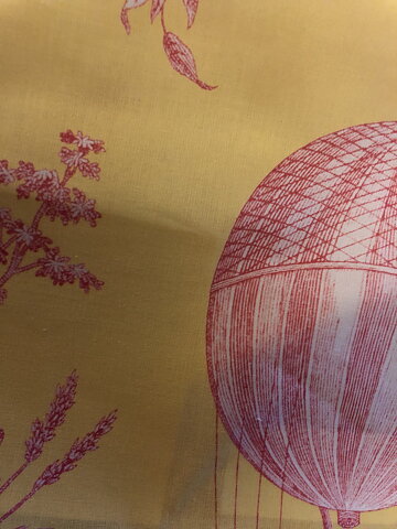 Toile Ballon De Gonesse