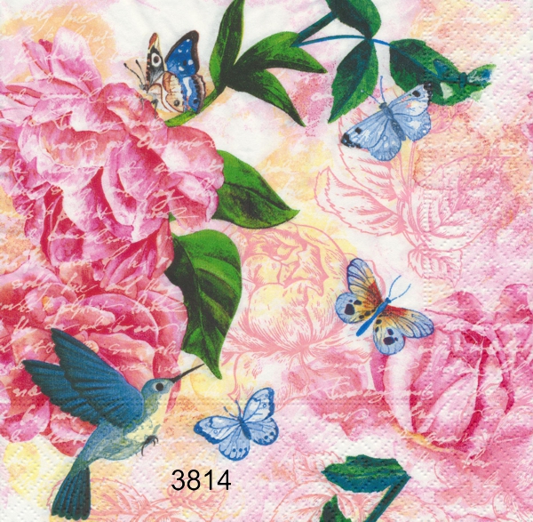 Collibri och fjärilar bland rosa blommor 
