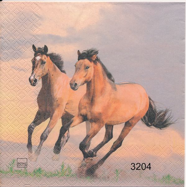 Hästar 