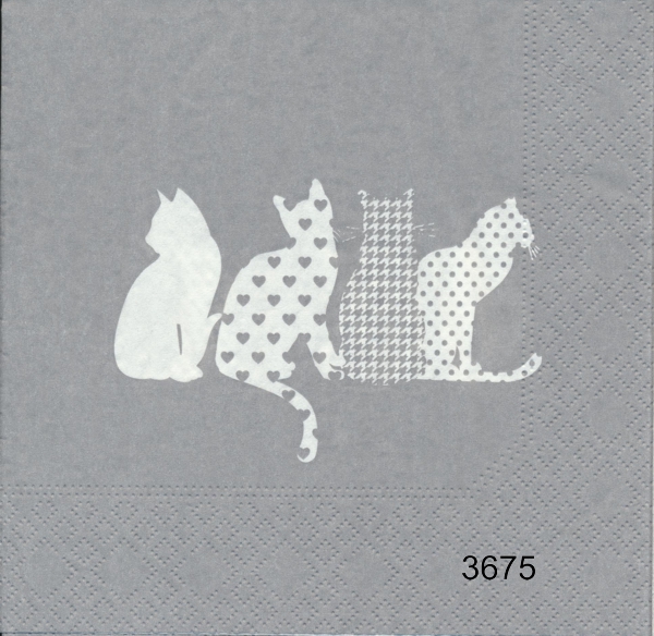 Kattmotiv