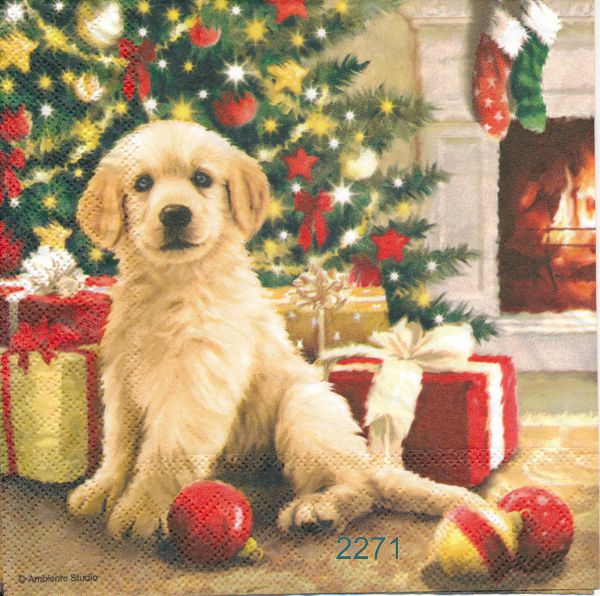 Förväntasfull hund i juletid  