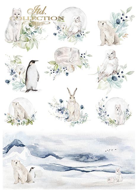 Scrapbooking papers SCRAP-050 ''The world of ice porcelain'' - 2
