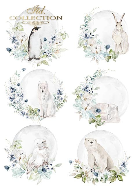Scrapbooking papers SCRAP-050 ''The world of ice porcelain'' - 6