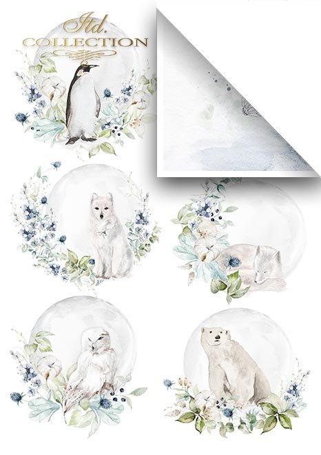 Scrapbooking papers SCRAP-050 ''The world of ice porcelain'' - 8
