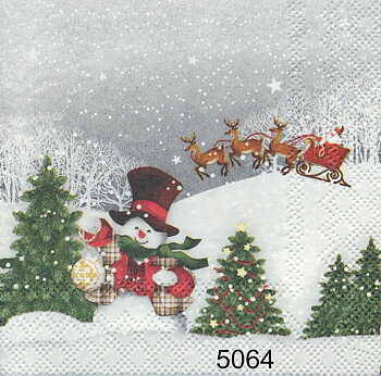 Snögubbe och tomtens slädparti  kaf5064