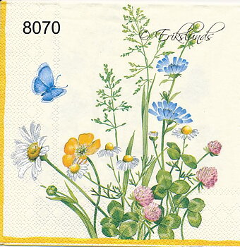 Midsommarblomster
