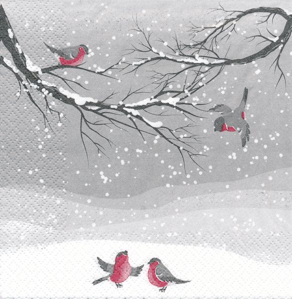 Domherrar i snö 