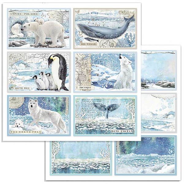 Papper Stamperia Arctic Antarctic - Cards SBB732
