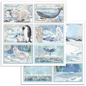Papper Stamperia Arctic Antarctic - Cards SBB732