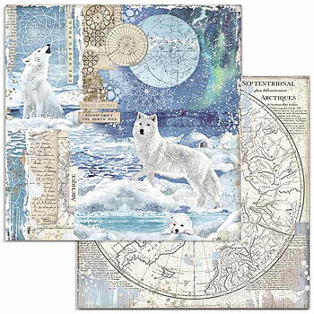Papper Stamperia Arctic Antarctic - Wolf  SBB733