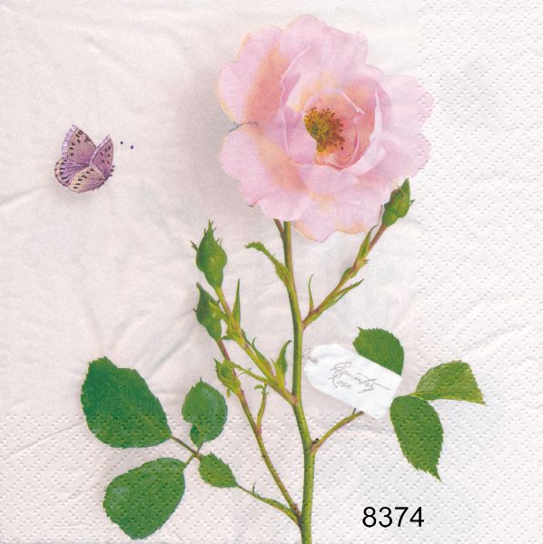 Country Rose