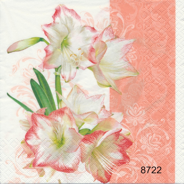 Amaryllis