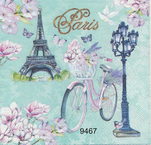 På cykel i Paris 