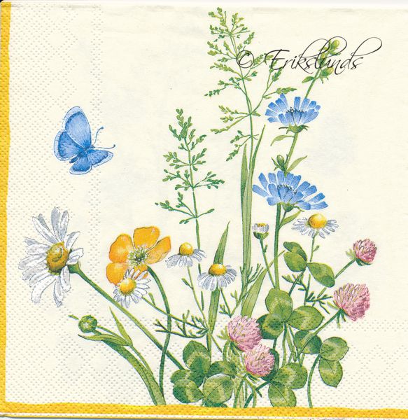 Sommarblomster