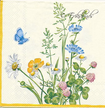 Sommarblomster