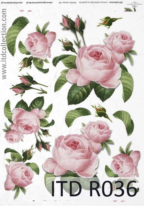 Rosor