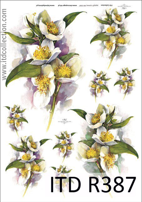 Vita blommor (julros)