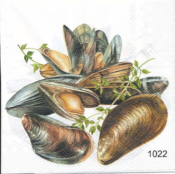 Musslor 