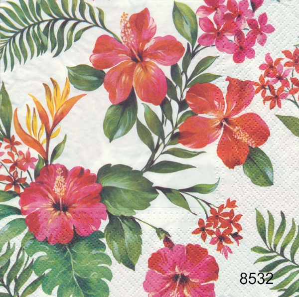 Hibiskusblomma mm  