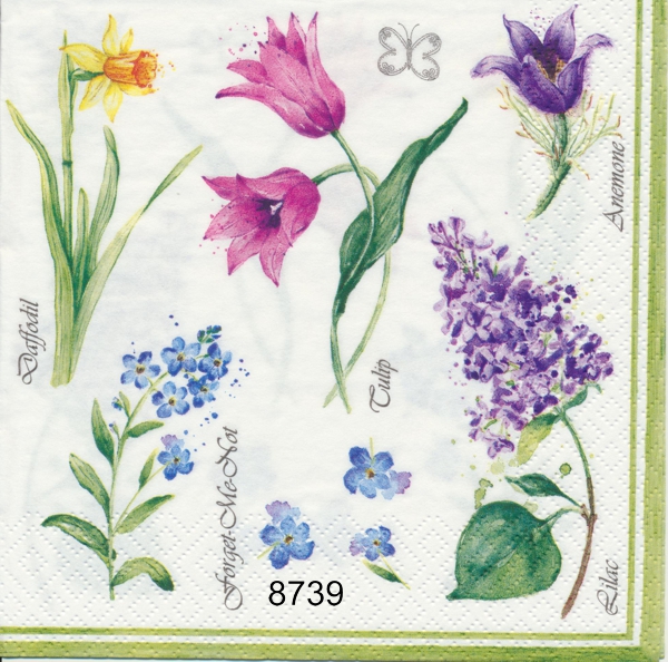Små blombilder