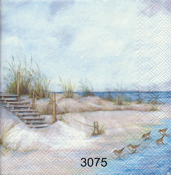 Strandmotiv