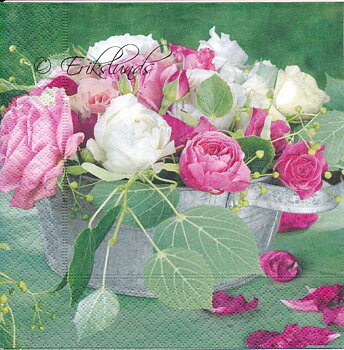 Vita och rosa rosor 