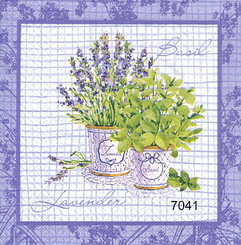BASILIKA OCH LAVENDEL