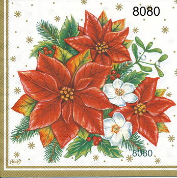 Julstjärnor 