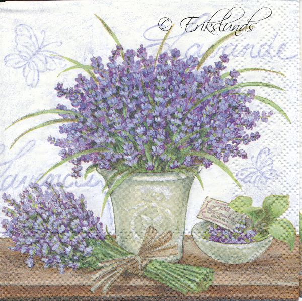 Lavendel med vit botten