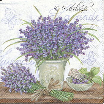 Lavendel med vit botten
