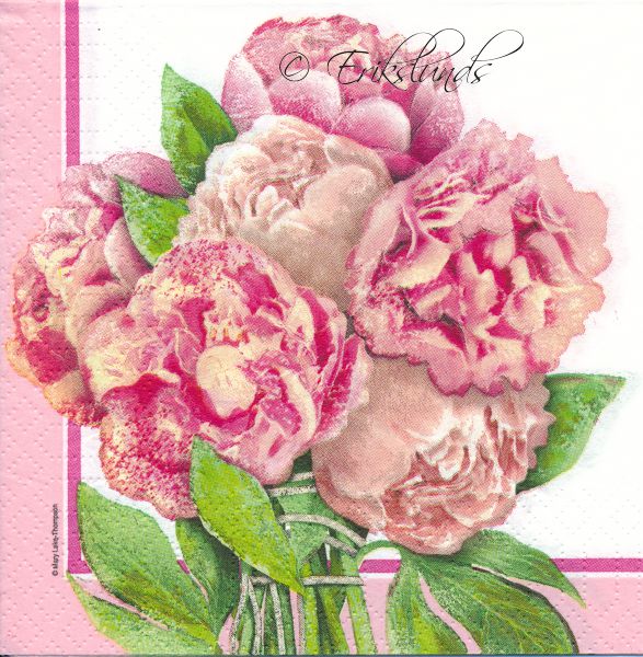 Rosa blommor