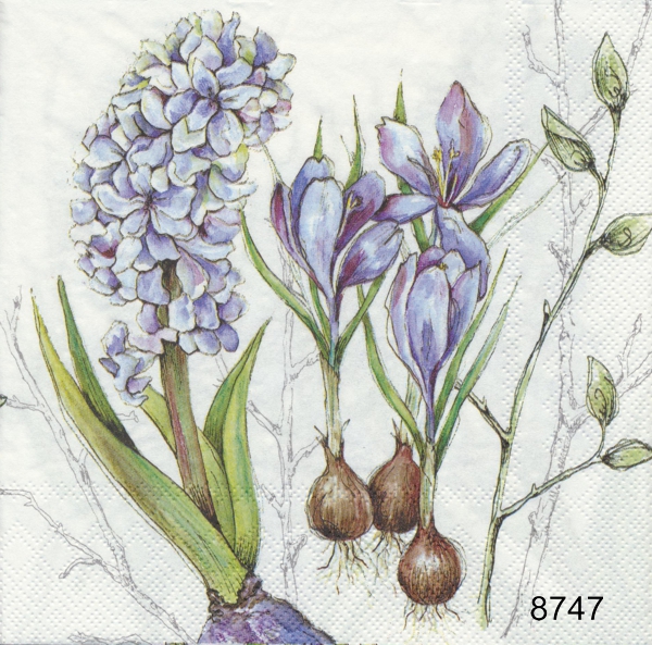 Vårblommor olika motiv 