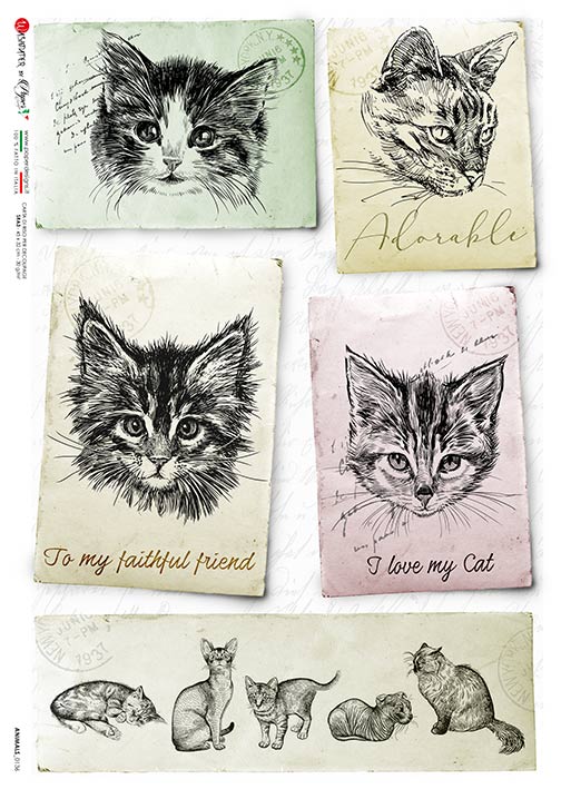 Kattmotiv 