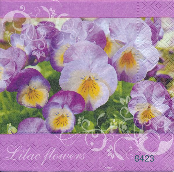 Lilac flowers  
