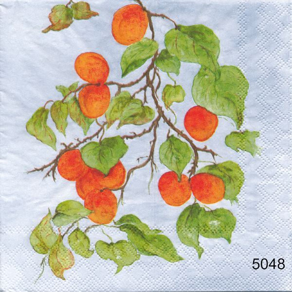 Oranga frukter