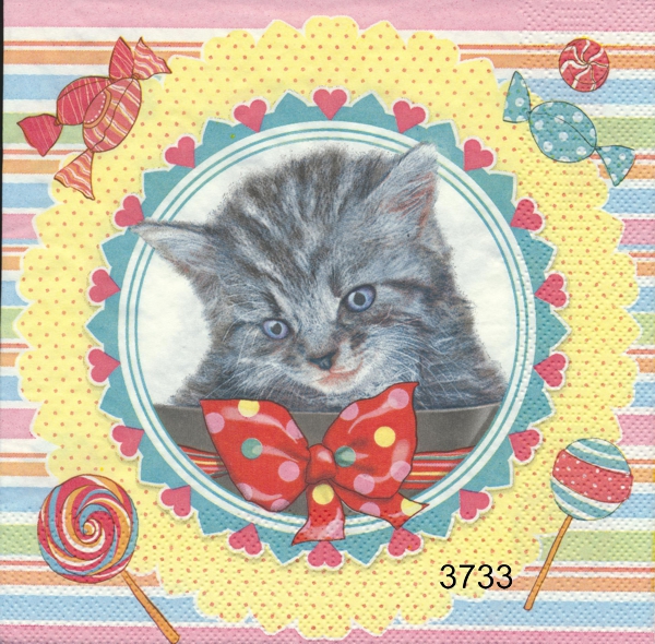 Söt liten katt 